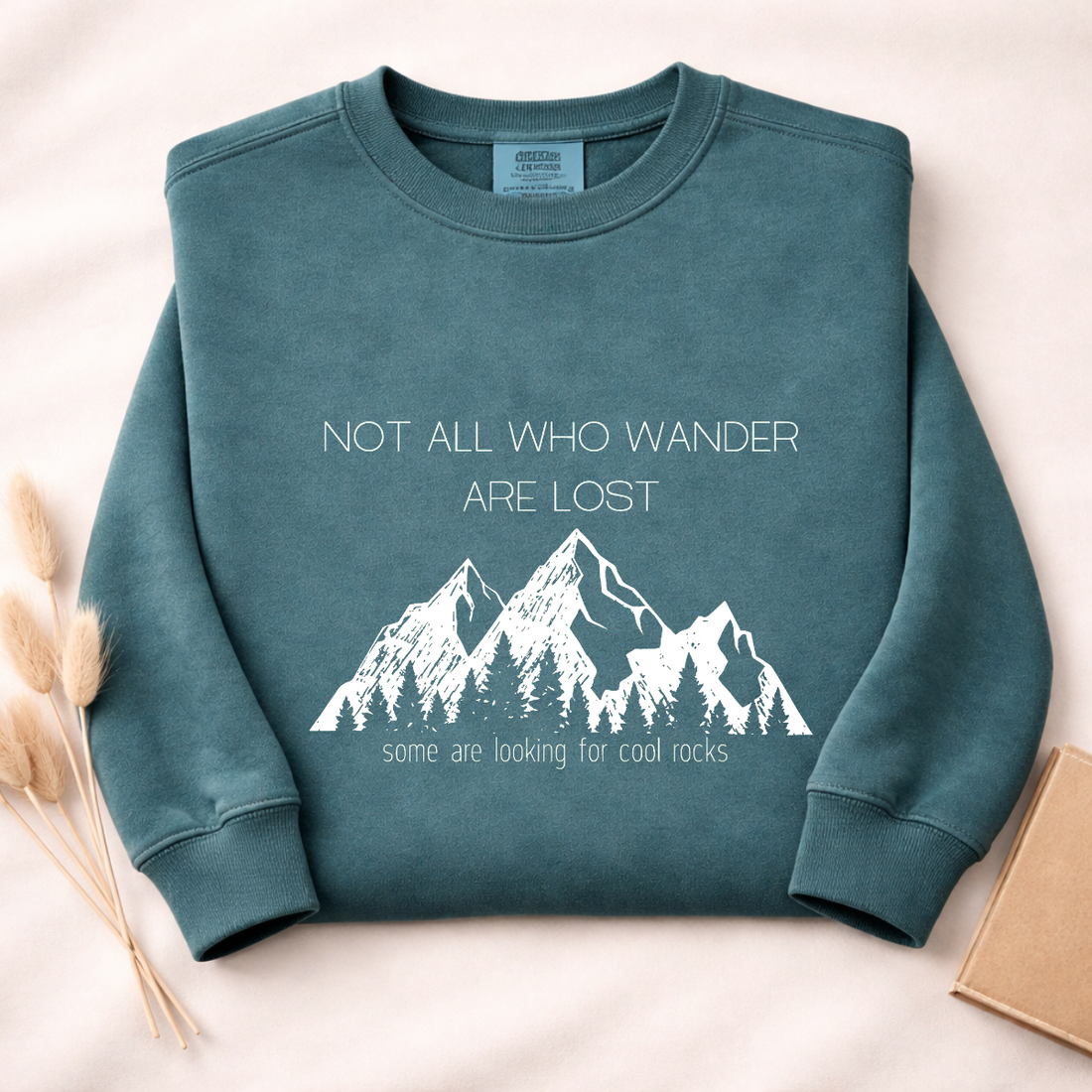 Not All Who Wander Are Lost Sweatshirt | Funny Hiking Shirt